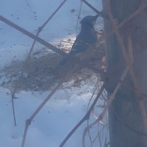 Meet your Posher, Adrienne